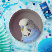 Assiettes En Carton Jolie plaque Papier Photo Budgie Bleu (Fête)