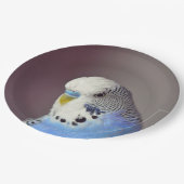 Assiettes En Carton Jolie plaque Papier Photo Budgie Bleu (Angle)