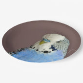 Assiettes En Carton Jolie prise bleue (Angle)