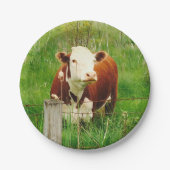 Assiettes En Carton Jolie vache curieuse 4Lilly (Devant)