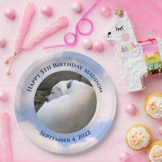 Assiettes En Carton Jote Chien Chien Dormant Ciel bleu 5e anniversaire (Fête)