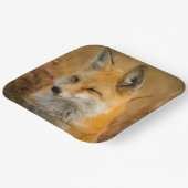 Assiettes En Carton Jote Red Fox Wilderness Nature Photographie (Angulaire)