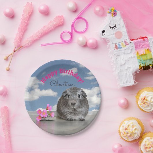 Assiettes En Carton Joyeuse fête d'anniversaire pour les enfants Guiné (Fête)