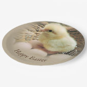 Assiettes En Carton Joyeuse poussette de Pâques dans un panier (Angle)