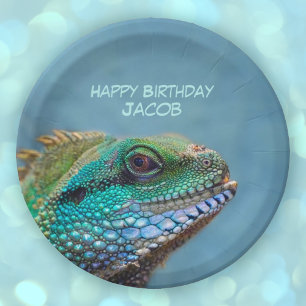 Assiettes En Carton Joyeux Anniversaire coloré Iguana