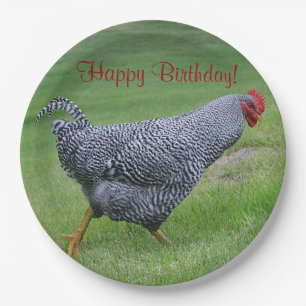 Assiettes En Carton Joyeux Anniversaire du poulet