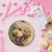 Assiettes En Carton Joyeux Anniversaire Goldendoodle Chien (Fête)