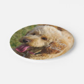 Assiettes En Carton Joyeux Anniversaire Goldendoodle Chien (Angle)