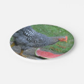 Assiettes En Carton Joyeux Anniversaire Le poulet aime la pastèque (Angle)