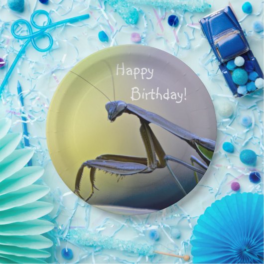 Assiettes En Carton Joyeux Anniversaire priant Mantis (Fête)