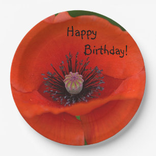Assiettes En Carton Joyeux Anniversaire Red Poppy