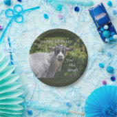 Assiettes En Carton Joyeux anniversaire vous vieux plat de chèvre (Fête)