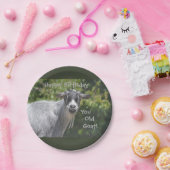 Assiettes En Carton Joyeux anniversaire vous vieux plat de chèvre (Fête)