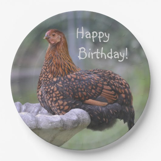 Assiettes En Carton Joyeux Bain d'anniversaire Poulet (Devant)