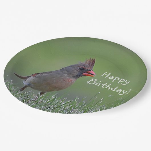 Assiettes En Carton Joyeux Cardinal d'anniversaire (Angle)