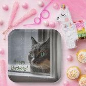 Assiettes En Carton Joyeux Chat Kitty Anniversaire (Fête)