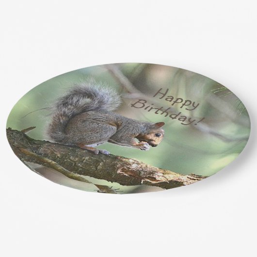 Assiettes En Carton Joyeux écureuil d'anniversaire (Angle)