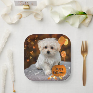 Assiettes En Carton Joyeux Halloween, Chiot Maltais,