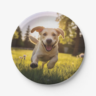Assiettes En Carton Joyeux Labrador Puppy Running