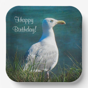 Assiettes En Carton Joyeux mouette d'anniversaire