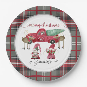 Assiettes En Carton Joyeux Noël Gnome Rouge Aquarelle Plaid