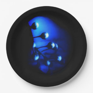 Assiettes En Carton Kate