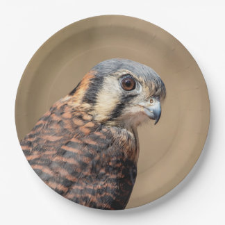 Assiettes En Carton Kestrel américain