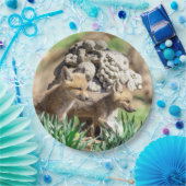 Assiettes En Carton Kits Fox dans la vallée de l'Hudson (Fête)