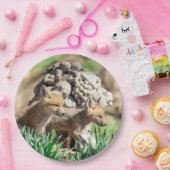 Assiettes En Carton Kits Fox dans la vallée de l'Hudson (Fête)