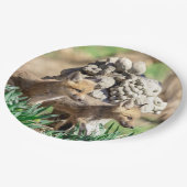 Assiettes En Carton Kits Fox dans la vallée de l'Hudson (Angle)