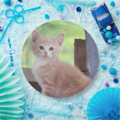 Assiettes En Carton Kitten (Fête)