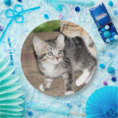 Assiettes En Carton Kitten (Fête)