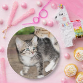 Assiettes En Carton Kitten (Fête)