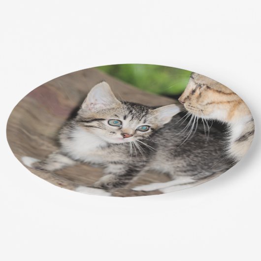 Assiettes En Carton Kitten (Angle)