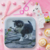 Assiettes En Carton Kitten (Fête)