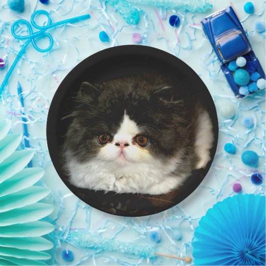 Assiettes En Carton Kitten noir et blanc (Fête)