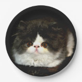 Assiettes En Carton Kitten noir et blanc (Devant)