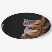 Assiettes En Carton Koala Cute en gris arbre (Angle)