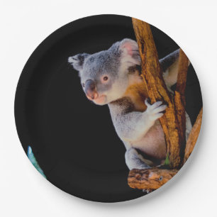 Assiettes En Carton Koala Cute en gris arbre