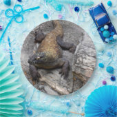 Assiettes En Carton Komodo (Fête)