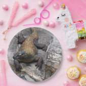 Assiettes En Carton Komodo (Fête)