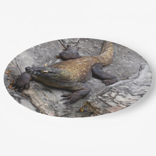 Assiettes En Carton Komodo (Angle)