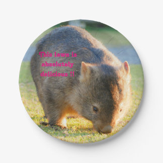 Assiettes En Carton La photographie australienne de Wombat Funny Cute