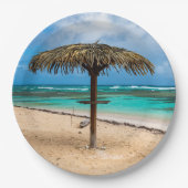 Assiettes En Carton La plage de l'Anse des Rochers (Devant)