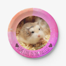 La vie vivante pleinement - hamsters de Hammyville