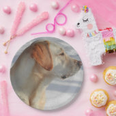 Assiettes En Carton laboratoire jaune 4 (Fête)