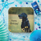 Assiettes En Carton Laboratoire noir (Fête)