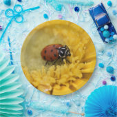 Assiettes En Carton Ladybug (Fête)