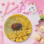 Assiettes En Carton Ladybug (Fête)