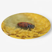 Assiettes En Carton Ladybug (Angle)
